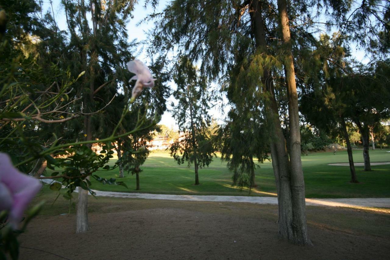 Greenlife Village マルベーリャ エクステリア 写真